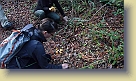 Hike-Woodside-Dec2011 (34) * 1280 x 720 * (156KB)